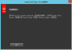 Windows Server 2016、2019顯示啟用Flash